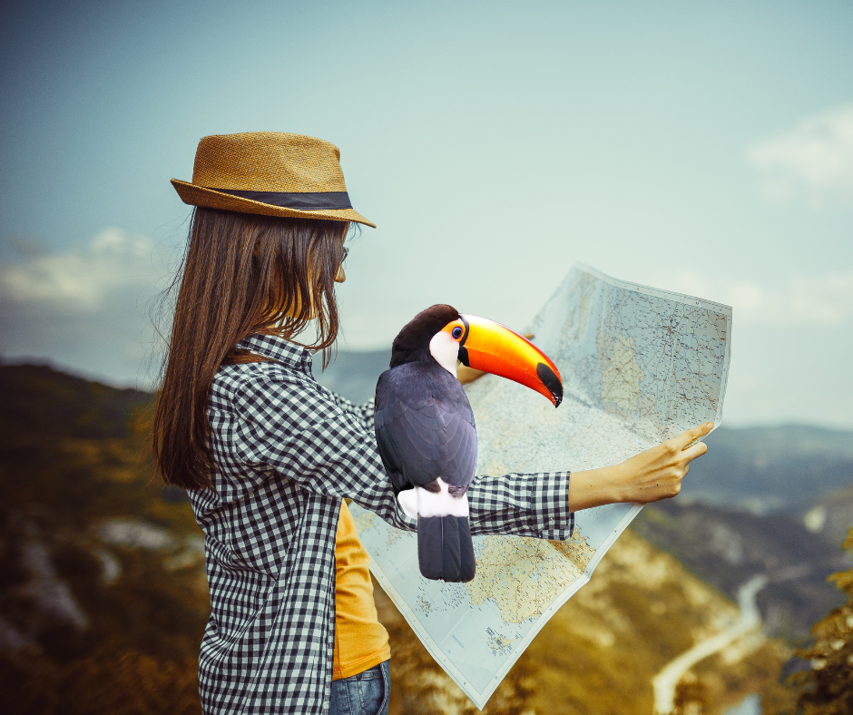 A woman looks over a map with a toucan on her arm. She is wearing a hat and is viewed in profile.  The toucan has a grey body with a large orange beak tipped in black.