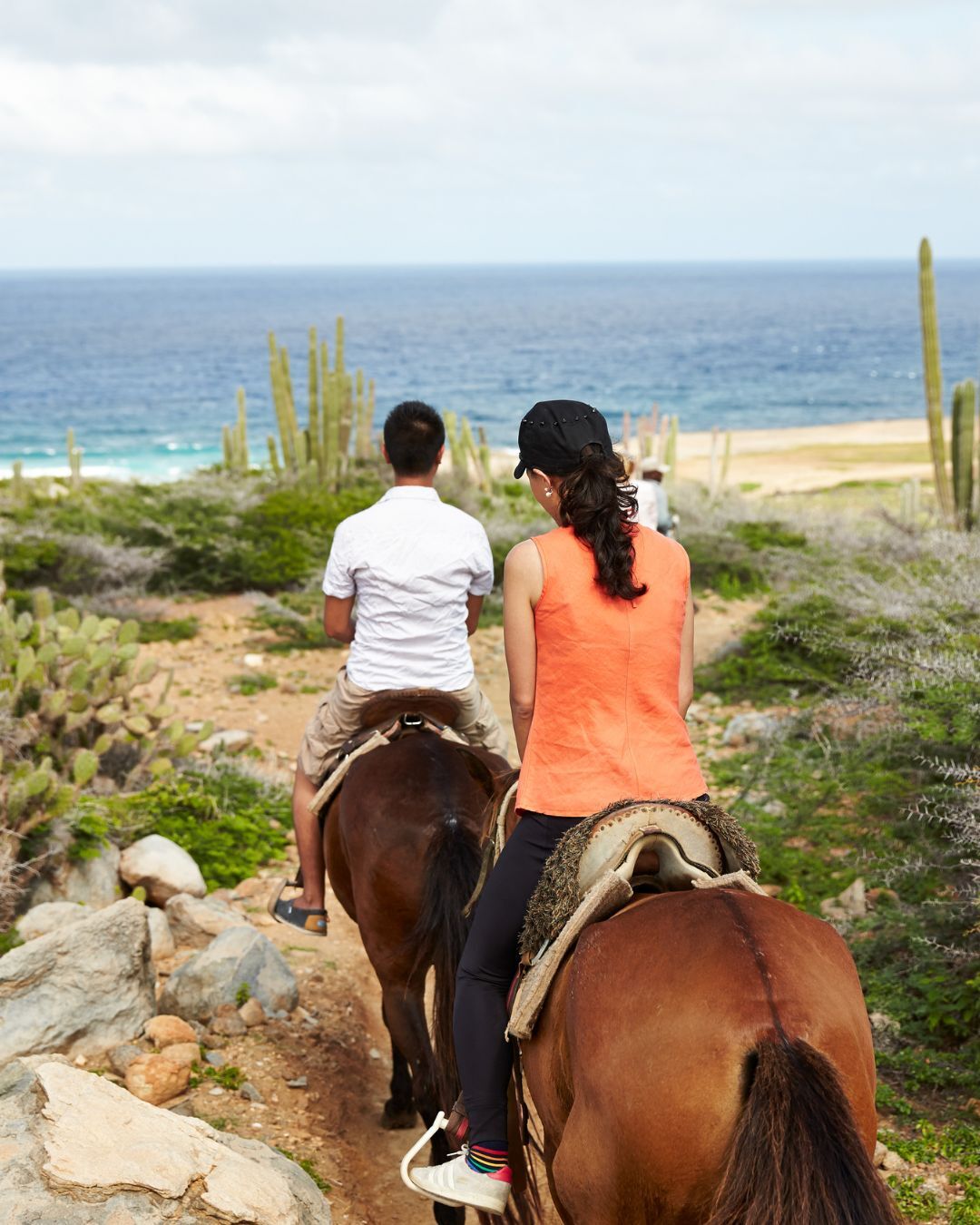 Adventurous shore excursions await you in Aruba with Princess Cruises! 🏖️ 🐴

Plan this week during BLACK FRIDAY 🌟 and get up to 50% off PLUS your 3rd & 4th guests sail FREE! #TravelBetter #PrincessCruises