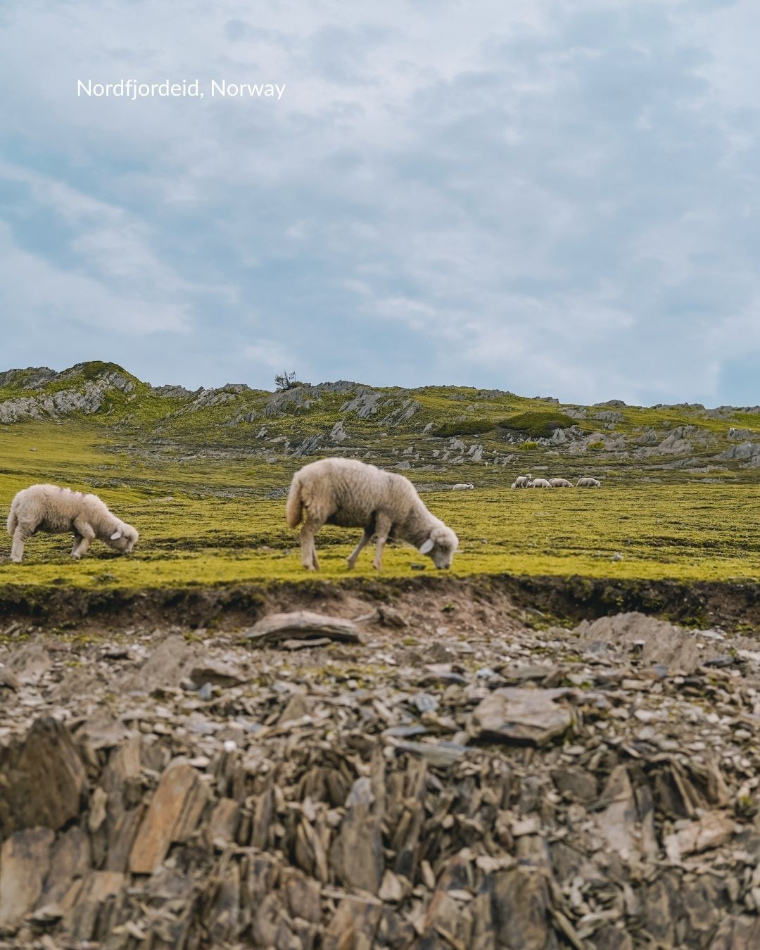 ๐ณ๏ธ 14-Night Fjordlands of Norway
The best time of year to book travel is now! ๐ณ๏ธ ๐ Book a select Oceania cruise with us this week and get up to 50% off + $250 shipboard credit! ๐ #TravelBetter #Oceania